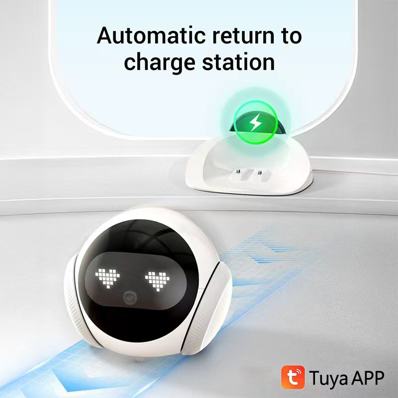Inteligentny elektroniczny tow – Smart Elderly Home recenzja i cena